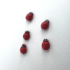 20 pcs, Mini Wooden Ladybugs, with Stickers, for DIY Handicraft, Card Making, Garden, Party Décor, Room Decoration.