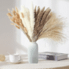 80 Pcs, Bohemian Natural Dried Pampas Grass Bouquet for Vase & Pot decoration.