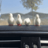 4 Pcs, Set of Realistic Mini White Pigeon Figurines - Polyresin Miniature Birds for Car, Home, Indoor & Outdoor Decor