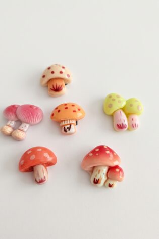 6 Pcs set, 3D Mushrooms Refrigerator Magnets, Realistic, Colorful mini Resin Charms for Kitchen & Home Fridge Decor.