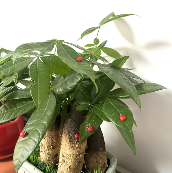 20 pcs, Mini Wooden Ladybugs, with Stickers, for DIY Handicraft, Card Making, Garden, Party Décor, Room Decoration. - Image 4